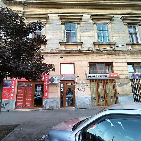 Hotel Casa Heidi Timișoara Zewnętrze zdjęcie
