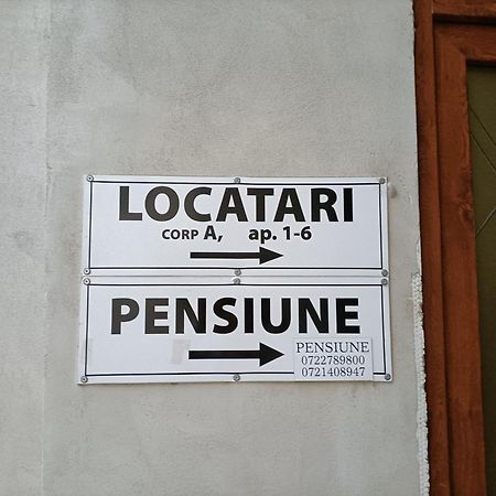 Hotel Casa Heidi Timișoara Zewnętrze zdjęcie